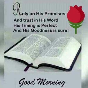 Meet your Posher, Sylvia